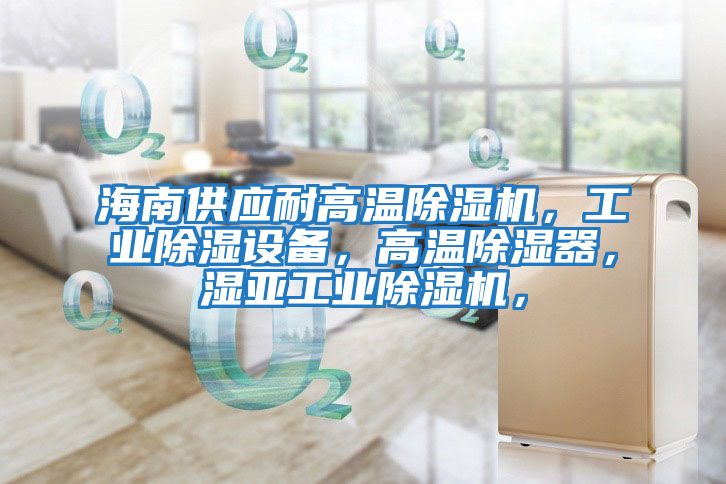 海南供應耐高溫除濕機，工業(yè)除濕設備，高溫除濕器，濕亞工業(yè)除濕機，