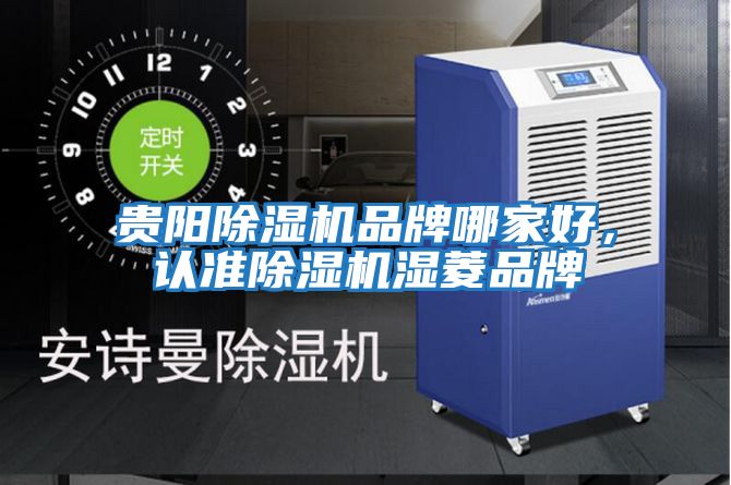 貴陽(yáng)除濕機品牌哪家好，認準除濕機濕菱品牌