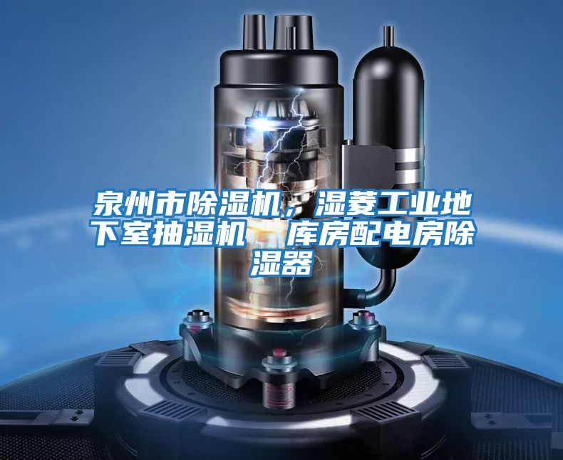 泉州市除濕機，濕菱工業(yè)地下室抽濕機  庫房配電房除濕器