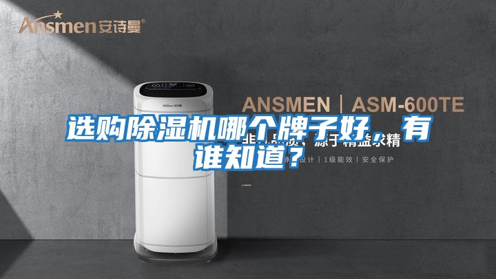 選購除濕機哪個(gè)牌子好，有誰(shuí)知道？