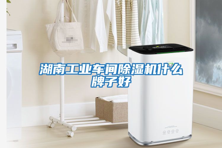 湖南工業(yè)車(chē)間除濕機什么牌子好