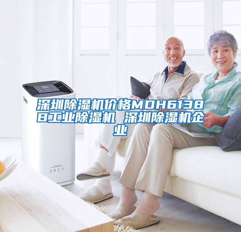 深圳除濕機價(jià)格MDH6138B工業(yè)除濕機 深圳除濕機企業(yè)