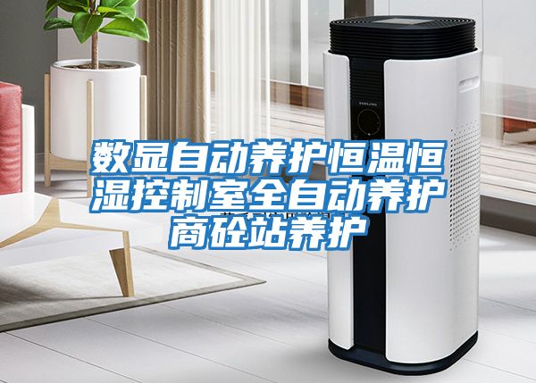 數顯自動(dòng)養護恒溫恒濕控制室全自動(dòng)養護商砼站養護