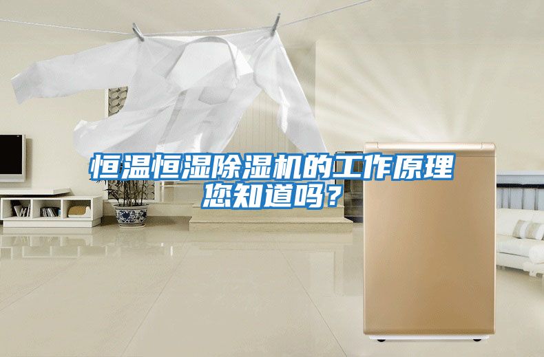 恒溫恒濕除濕機的工作原理您知道嗎？