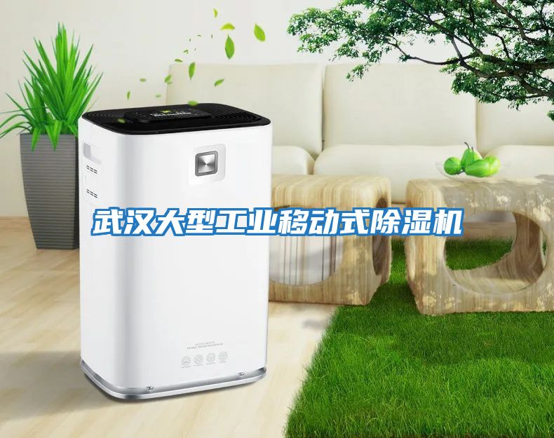 武漢大型工業(yè)移動(dòng)式除濕機