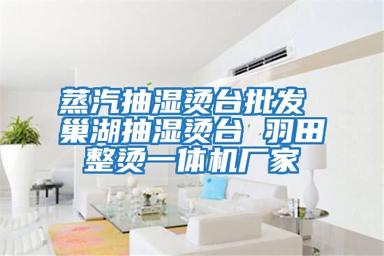 蒸汽抽濕燙臺批發(fā) 巢湖抽濕燙臺 羽田整燙一體機廠(chǎng)家