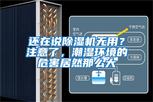 還在說(shuō)除濕機無(wú)用？注意了，潮濕環(huán)境的危害居然那么大