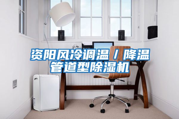 資陽(yáng)風(fēng)冷調溫／降溫管道型除濕機