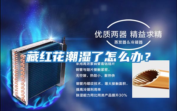 藏紅花潮濕了怎么辦？