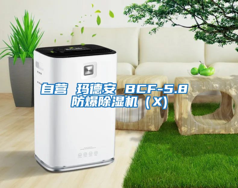 自營(yíng) 瑪德安 BCF-5.8 防爆除濕機（X)