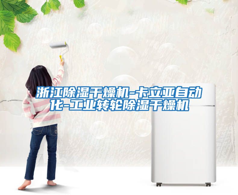 浙江除濕干燥機-卡立亞自動(dòng)化-工業(yè)轉輪除濕干燥機