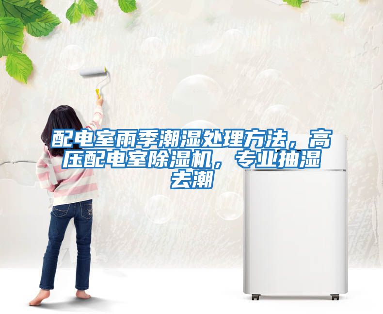配電室雨季潮濕處理方法，高壓配電室除濕機，專(zhuān)業(yè)抽濕去潮