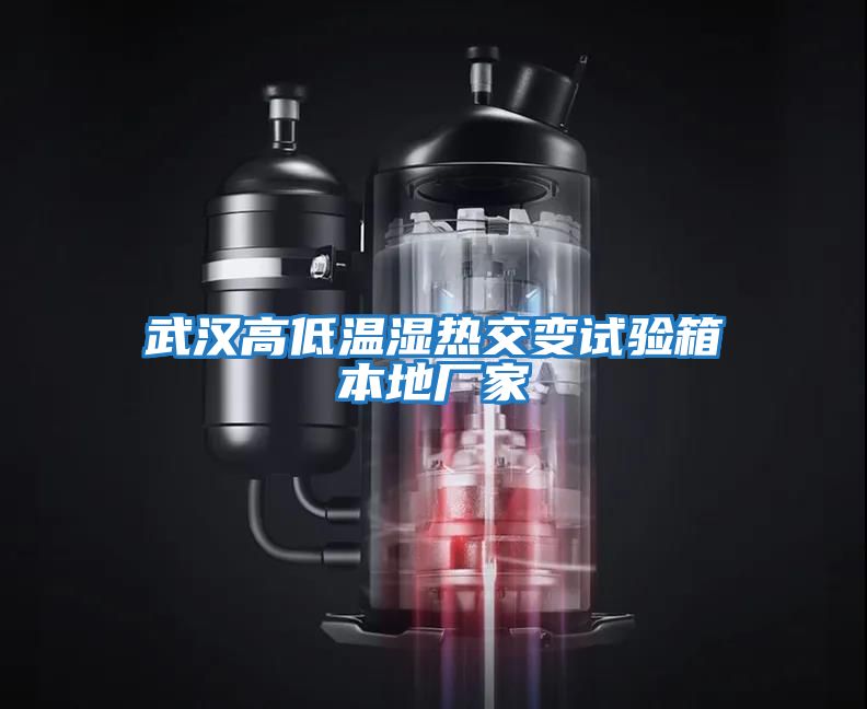 武漢高低溫濕熱交變試驗箱本地廠(chǎng)家