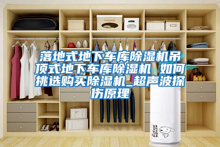 落地式地下車(chē)庫除濕機吊頂式地下車(chē)庫除濕機 如何挑選購買(mǎi)除濕機_超聲波探傷原理