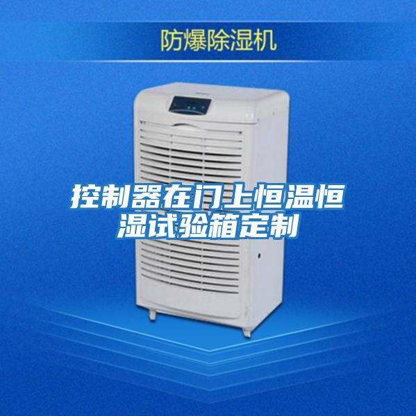 控制器在門(mén)上恒溫恒濕試驗箱定制