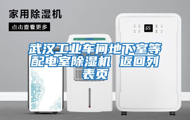 武漢工業(yè)車(chē)間地下室等配電室除濕機 返回列表頁(yè)