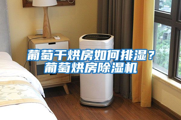 葡萄干烘房如何排濕？葡萄烘房除濕機