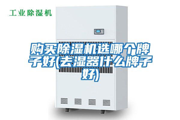 購買(mǎi)除濕機選哪個(gè)牌子好(去濕器什么牌子好)