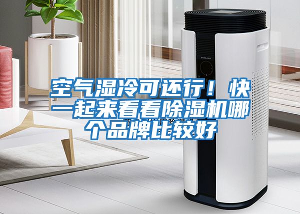 空氣濕冷可還行！快一起來(lái)看看除濕機哪個(gè)品牌比較好