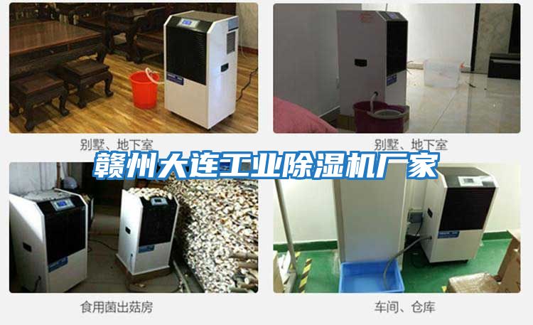 贛州大連工業(yè)除濕機廠(chǎng)家