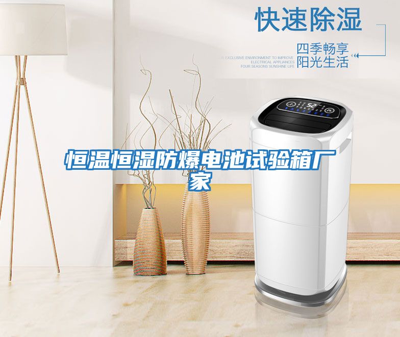 恒溫恒濕防爆電池試驗箱廠(chǎng)家