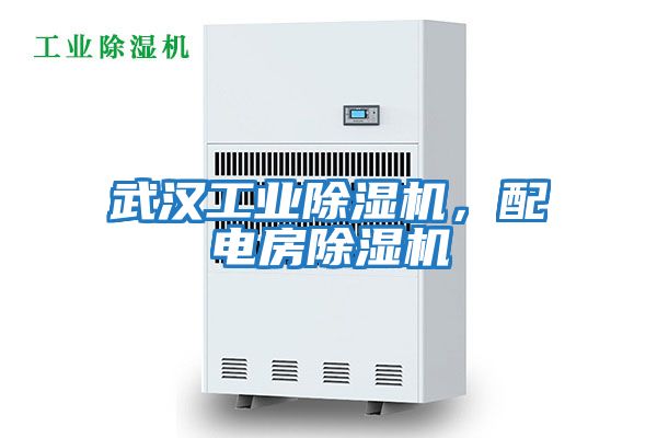 武漢工業(yè)除濕機，配電房除濕機