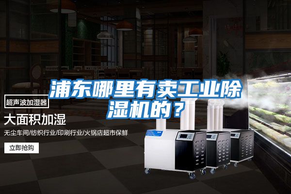 浦東哪里有賣(mài)工業(yè)除濕機的？