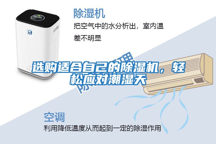選購適合自己的除濕機，輕松應對潮濕天