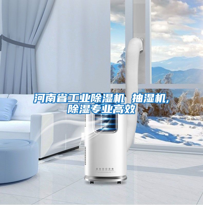 河南省工業(yè)除濕機 抽濕機,除濕專(zhuān)業(yè)高效