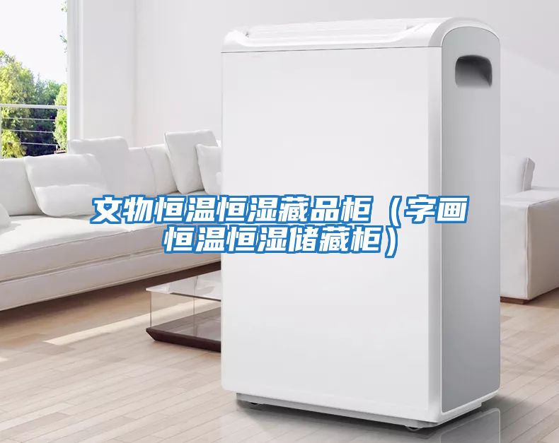 文物恒溫恒濕藏品柜（字畫(huà)恒溫恒濕儲藏柜）
