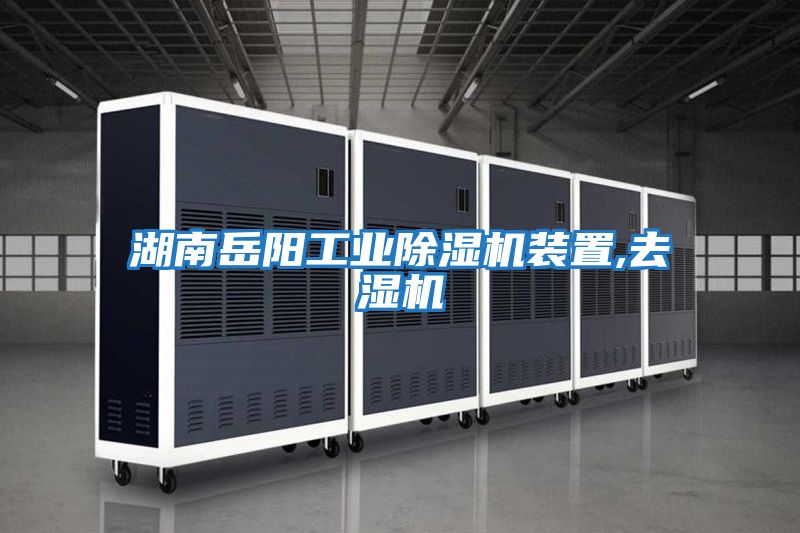 湖南岳陽(yáng)工業(yè)除濕機裝置,去濕機