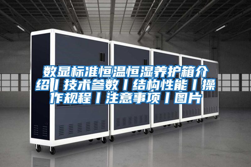 數顯標準恒溫恒濕養護箱介紹丨技術(shù)參數丨結構性能丨操作規程丨注意事項丨圖片