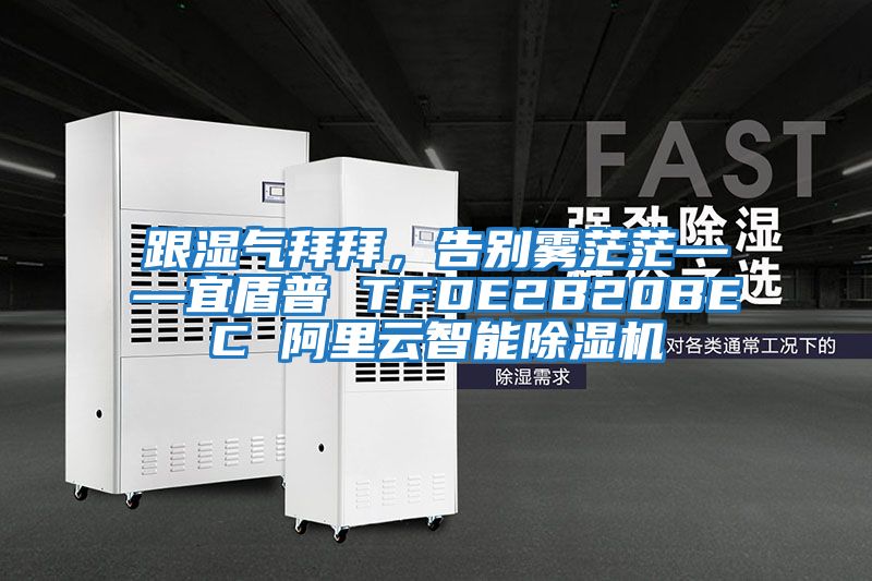 跟濕氣拜拜，告別霧茫?！硕芷?TFDE2B20BEC 阿里云智能除濕機