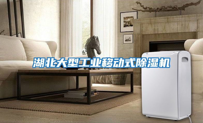 湖北大型工業(yè)移動(dòng)式除濕機