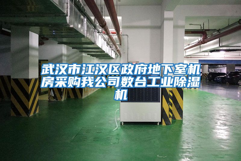 武漢市江漢區政府地下室機房采購我公司數臺工業(yè)除濕機