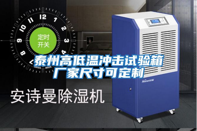 泰州高低溫沖擊試驗箱廠(chǎng)家尺寸可定制