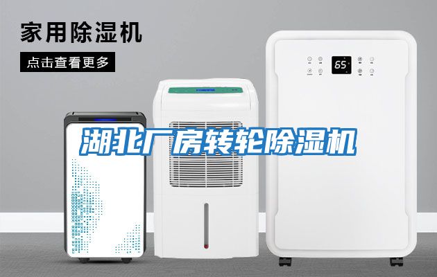 湖北廠(chǎng)房轉輪除濕機
