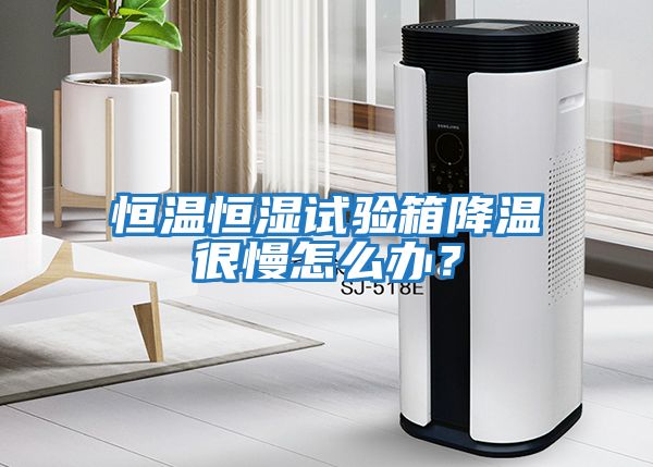 恒溫恒濕試驗箱降溫很慢怎么辦？