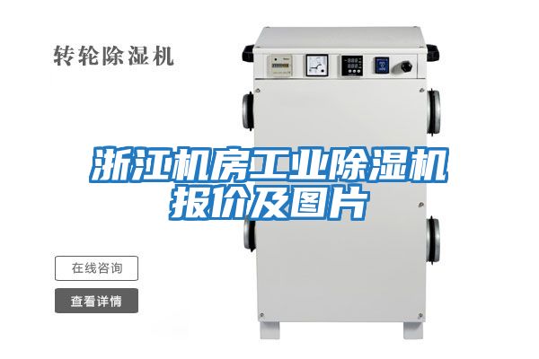 浙江機房工業(yè)除濕機報價(jià)及圖片