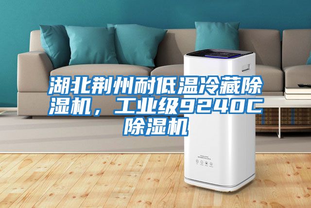 湖北荊州耐低溫冷藏除濕機，工業(yè)級9240C除濕機