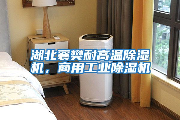 湖北襄樊耐高溫除濕機，商用工業(yè)除濕機