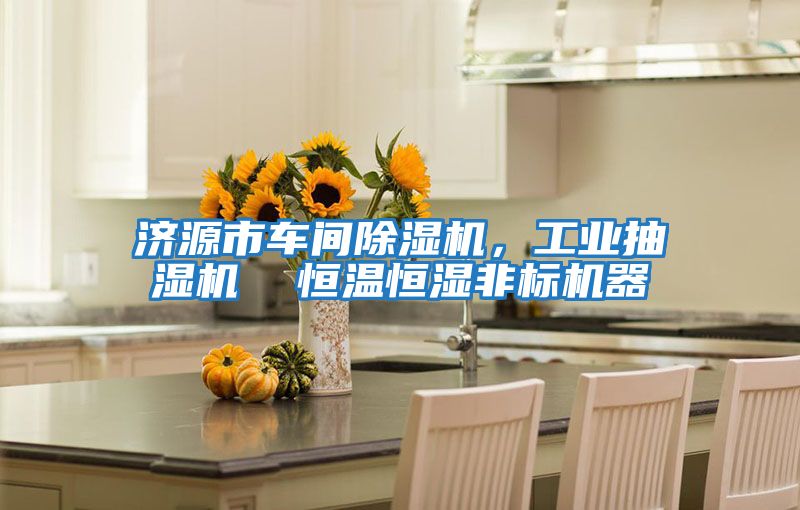 濟源市車(chē)間除濕機，工業(yè)抽濕機  恒溫恒濕非標機器