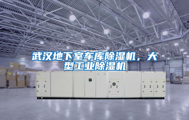 武漢地下室車(chē)庫除濕機，大型工業(yè)除濕機