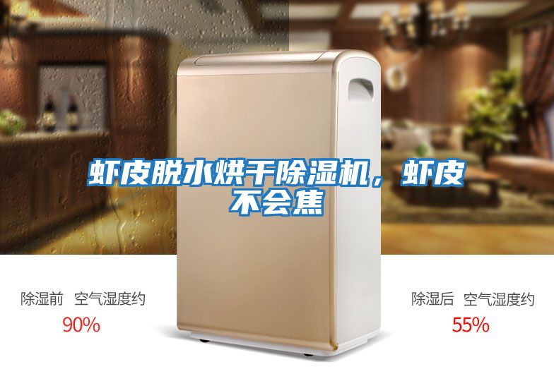 蝦皮脫水烘干除濕機，蝦皮不會(huì )焦