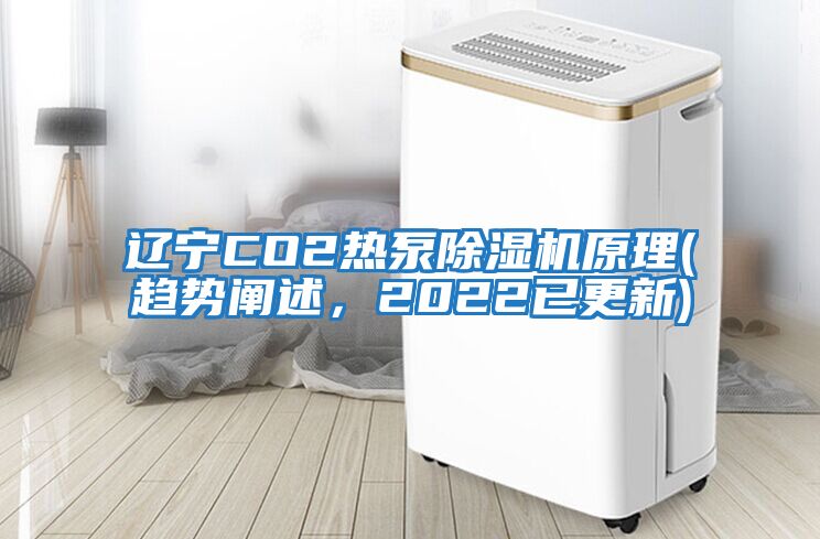 遼寧CO2熱泵除濕機原理(趨勢闡述，2022已更新)