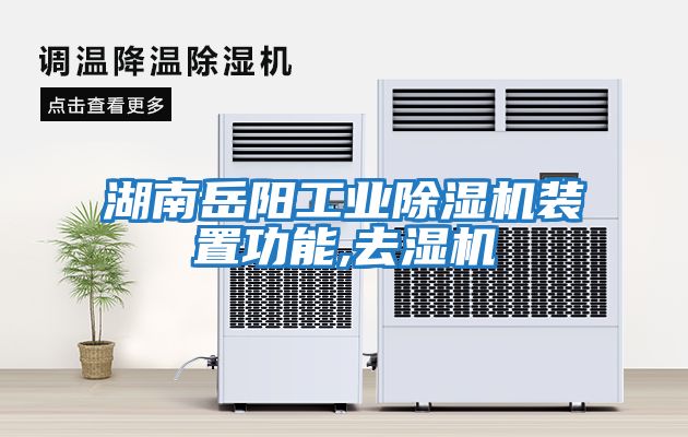 湖南岳陽(yáng)工業(yè)除濕機裝置功能,去濕機