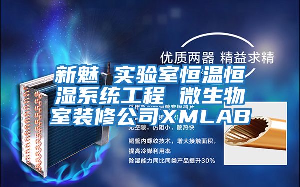 新魅 實(shí)驗室恒溫恒濕系統工程 微生物室裝修公司XMLAB