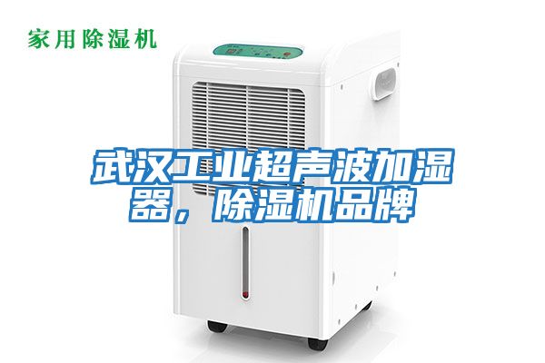 武漢工業(yè)超聲波加濕器，除濕機品牌