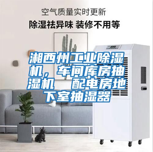 湘西州工業(yè)除濕機，車(chē)間庫房抽濕機  配電房地下室抽濕器