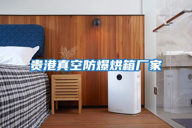 貴港真空防爆烘箱廠(chǎng)家